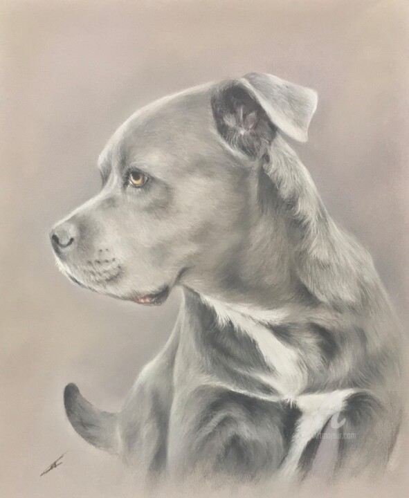 Perro 图画, 11.8x9.8 in