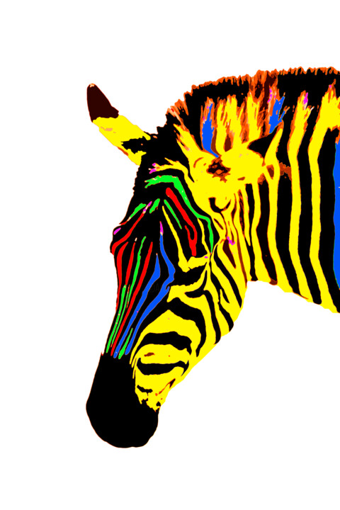 Reino Animal 18 摄影, 39.4x27.6 in