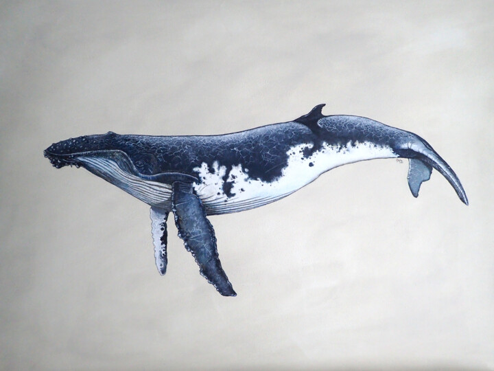 Baleine à bosse 绘画, 23.6x35.8 in