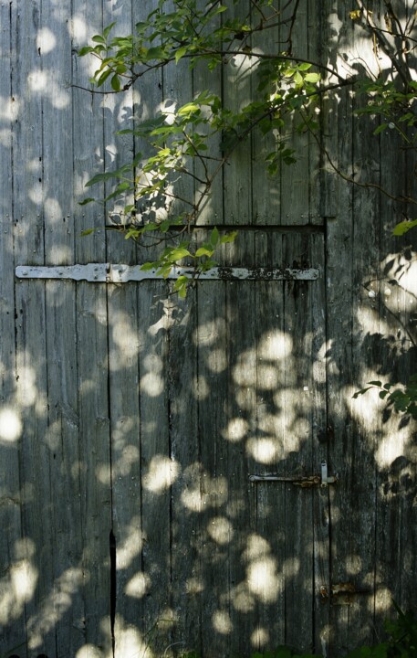 Photography titled "Hiding." by Dave English, Original Artwork, Digital Photography