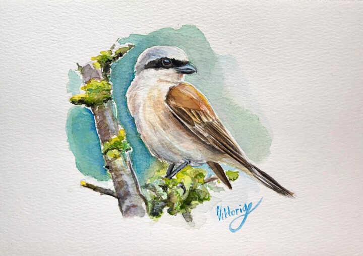 Bird on a brunch Drawing, 7.6x5.2 in