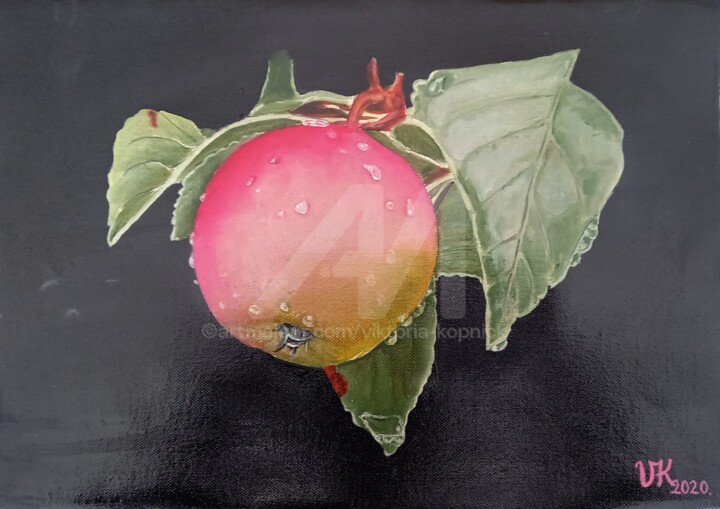 Apfel 绘画, 11.8x15.8 in
