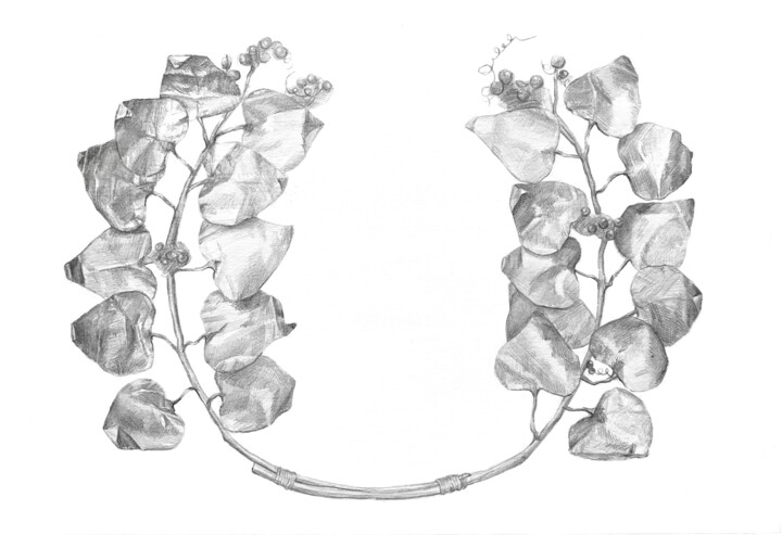 Greek golden wreath Tekening, 6,3x9,1 in