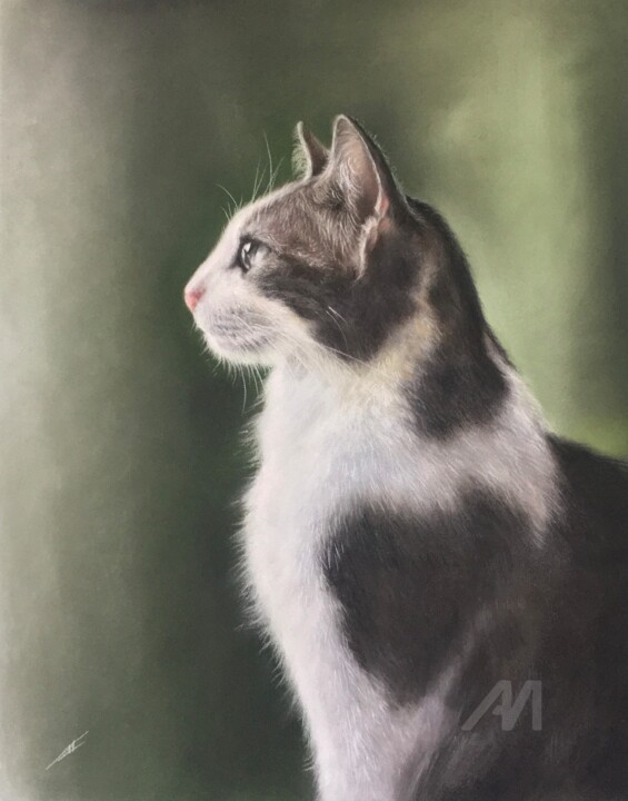 Cat on the window 图画, 11.8x9.5 in
