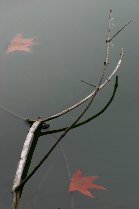Photography titled "Minimal2" by Jean-François Mansencal, Original Artwork, Digital Photography