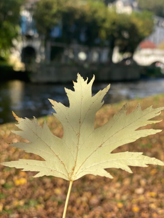 Photographie intitulée "Feuille d’automne" par Laurence Linsenmaier, Œuvre d'art originale, Photographie non manipulée