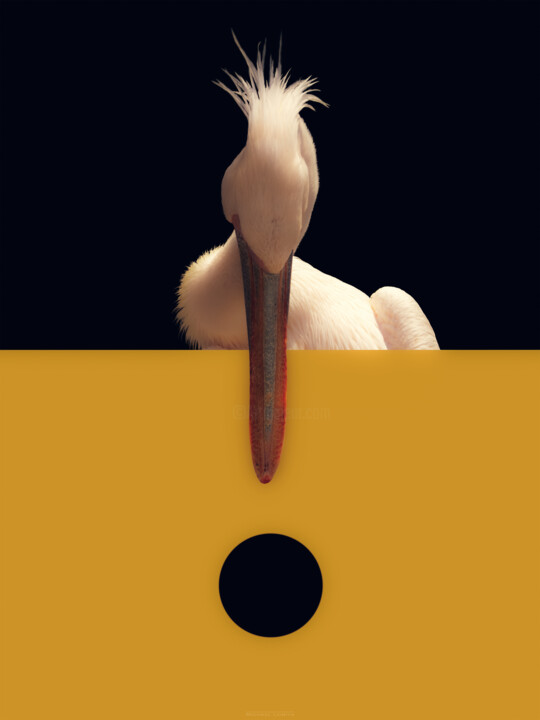 Black, Yellow And Pelican! Arte digitale