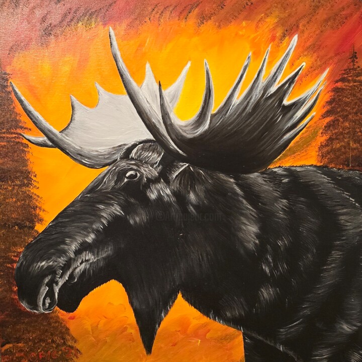 Moose 绘画, 20x20 in
