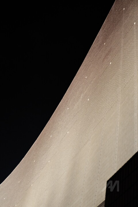 Moonlight 摄影