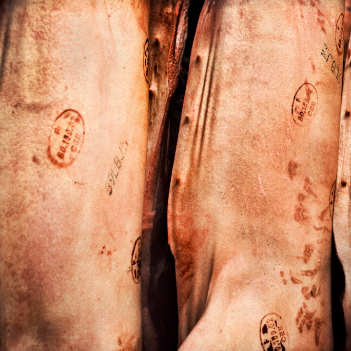 Slaughterhouse 6 摄影, 19.7x19.7 in
