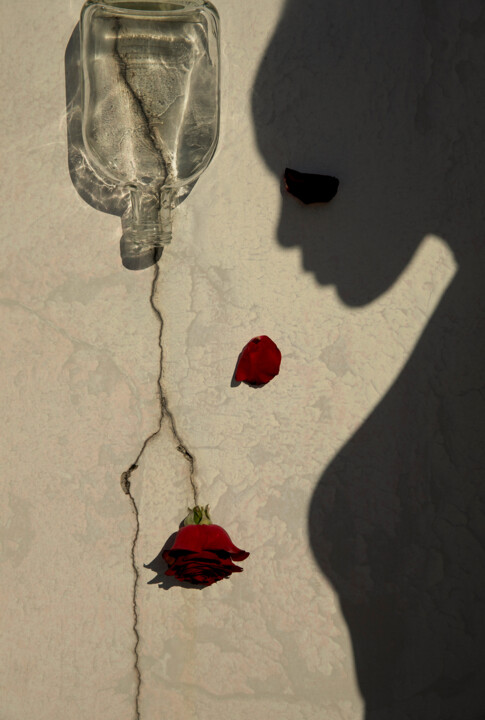 A Rose Through The Crack #2 摄影, 29.1x19.7 in