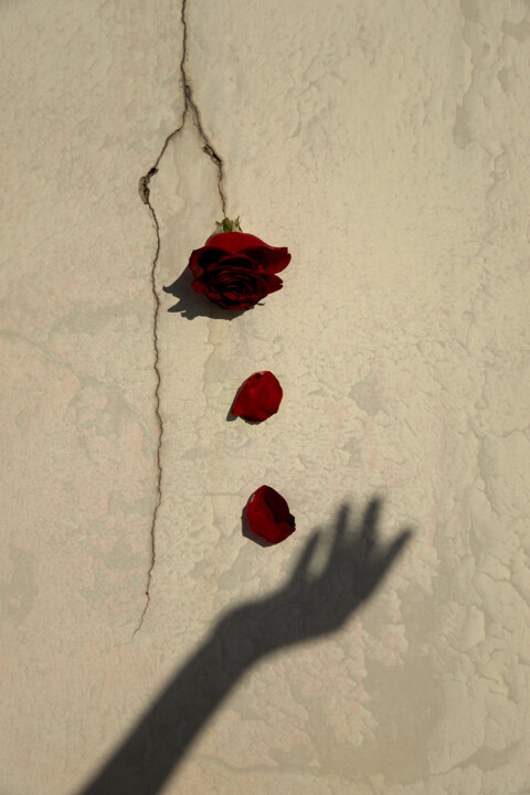 摄影 标题为“A Rose Through The…” 由Xidong Luo, 原创艺术品, 数码摄影
