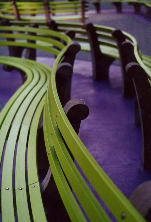 Photography titled "A study in purple a…" by Jane Linders, Original Artwork