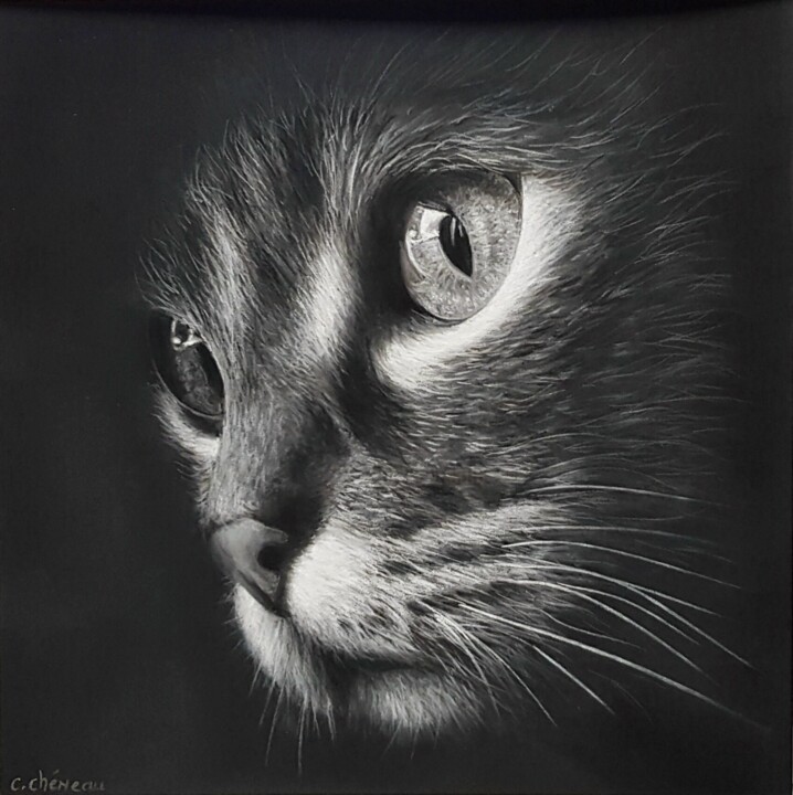 绘画,  9.8x9.8 in 