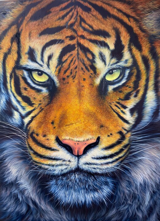 Tiger 绘画, 39.3x31.4 in