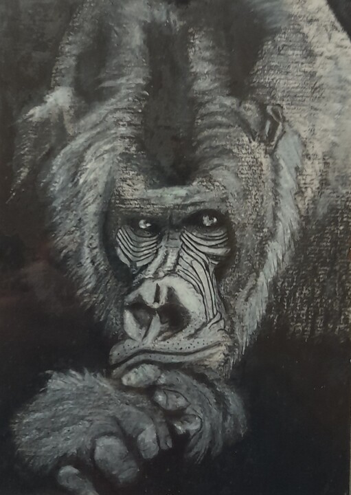 Le Gorille dos argenté Tekening, 7,9x5,7 in