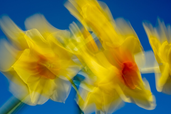 Out Of The Blue Fotografie, 16,5x23,4 in