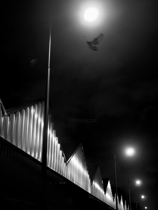 Photography titled "Bird Factory" by Hervé Gergaud, Original Artwork, Digital Photography