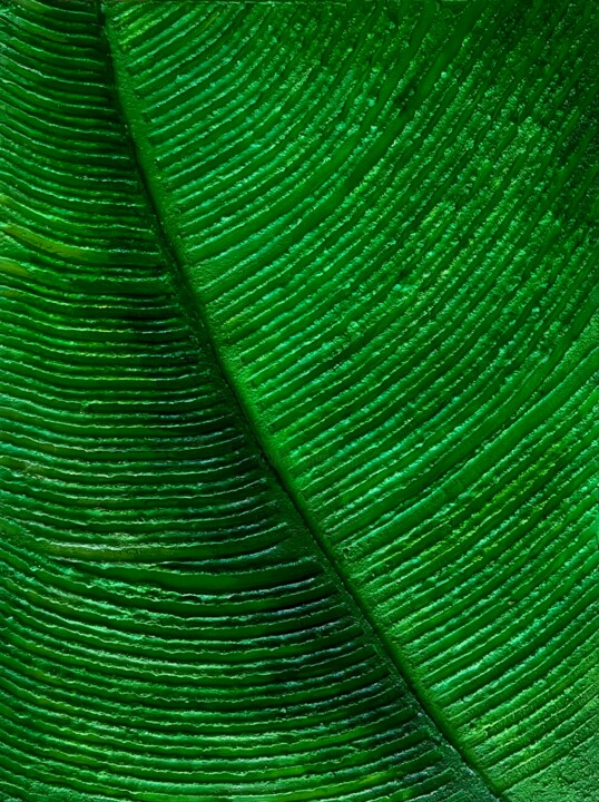 TROPICAL VIBES Textured Minimalist Acrylic painting 绘画, 15.8x11.8 in
