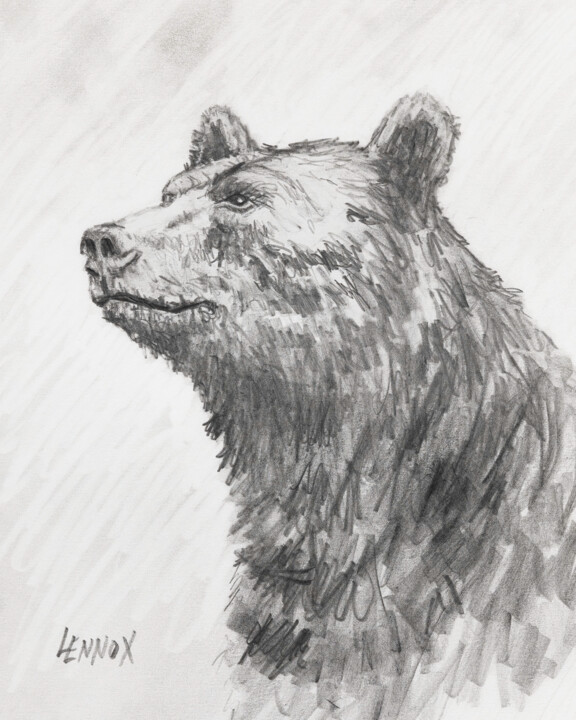 Drawing titled "Sir Bear – Graphite" by Clayt Lennox, Original Artwork, Pencil