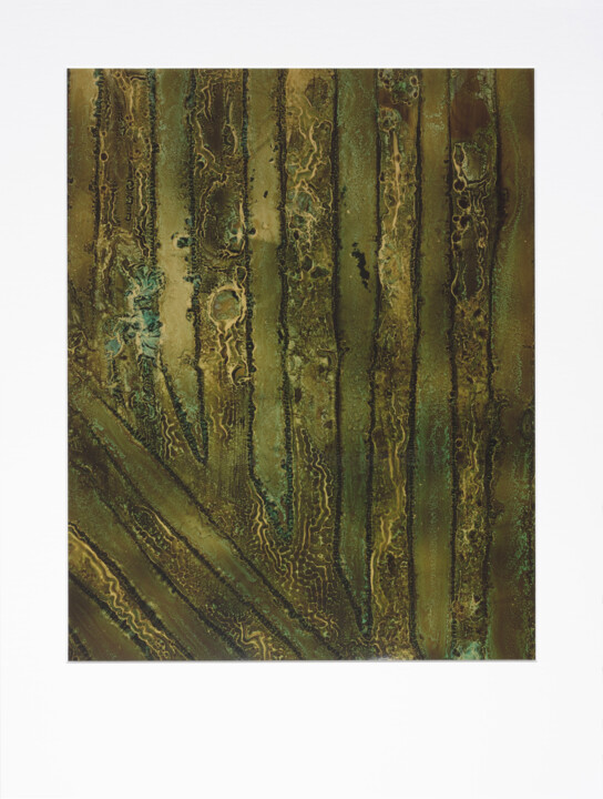 Cliché-verre - GEOMCHAOS110 - „Die Geometrie des Chaos“ Fotoğraf, 12x9,5 in