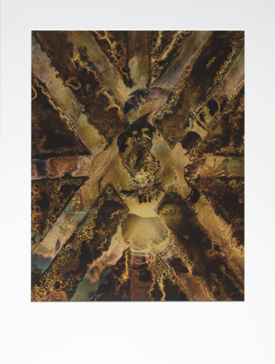 摄影,  12x9.5 in 