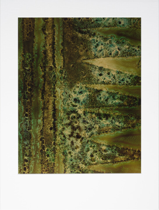 Cliché-verre - GEOMCHAOS111 - „Die Geometrie des Chaos“ 摄影, 12x9.5 in