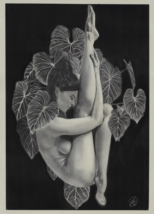 Drawing titled "Natures embrace" by Michael K Davis, Original Artwork, Charcoal