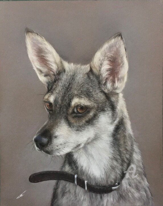 Portrait of a small dog 图画, 9.8x7.9 in