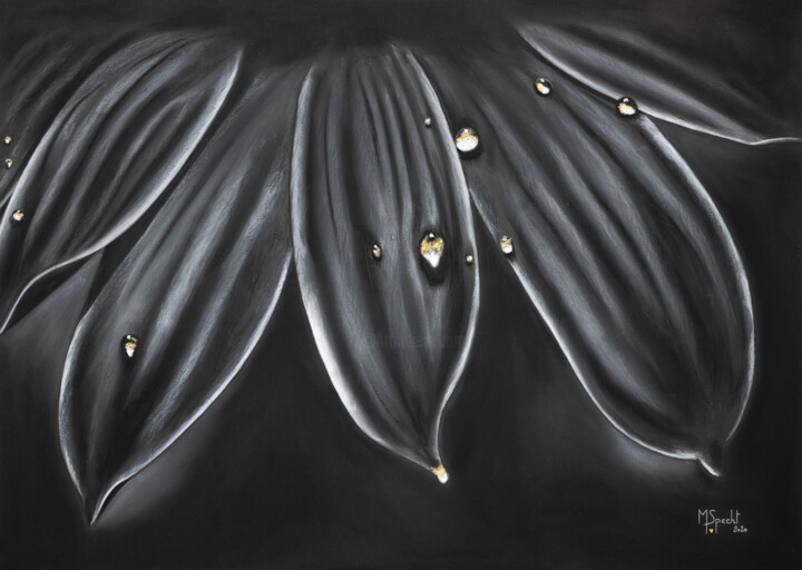 PASSIONNEMENT Peinture, 20,1x28 in