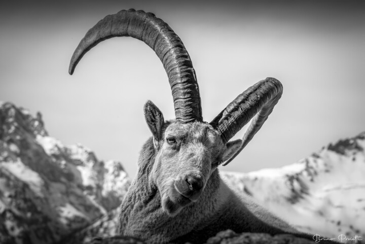 REGARD Photography, 39.4x59.1 in