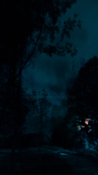 Chemin de nuit 2 摄影