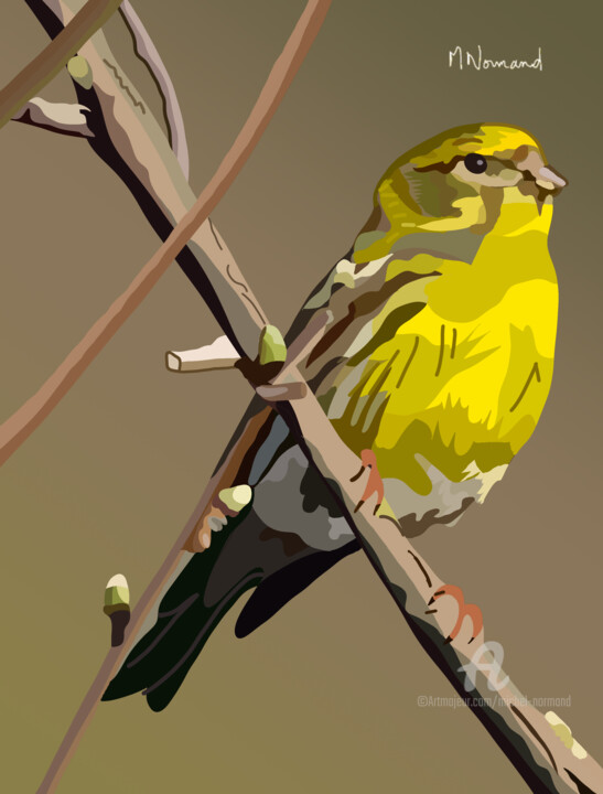 2024-11-01 Oiseaux de jardin Serin Cini (Europe) 数字艺术