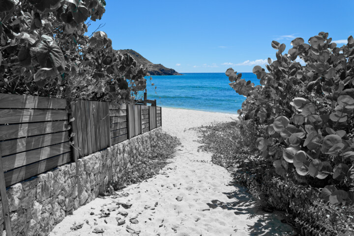 Le chemin de la plage Fotografia
