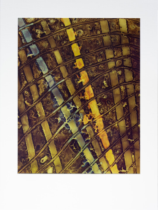 Cliché-verre - GEOMCHAOS119 - „Die Geometrie des Chaos“ 摄影, 12x9.5 in