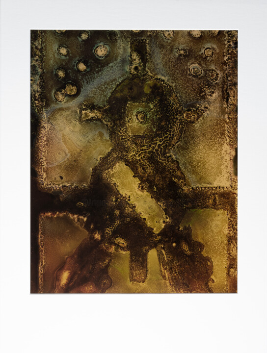摄影,  12x9.5 in 
