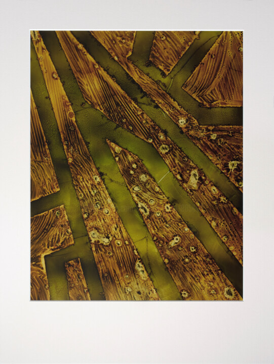 Cliché-verre - GEOMCHAOS130 - „Die Geometrie des Chaos“ 摄影, 12x9.5 in