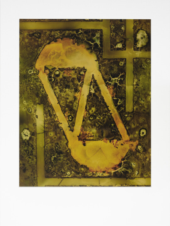Cliché-verre - GEOMCHAOS126 - „Die Geometrie des Chaos“ 摄影, 12x9.5 in