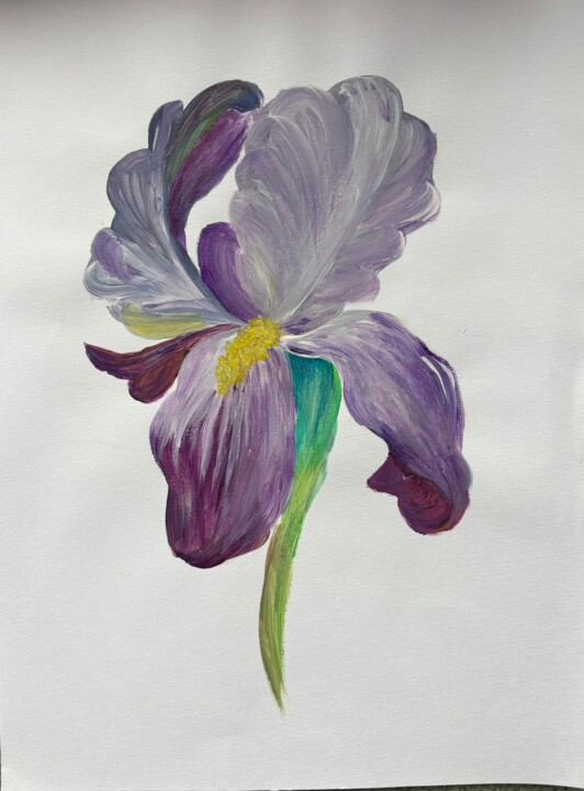 L'iris éclatant Disegno, 12,6x11,6 in