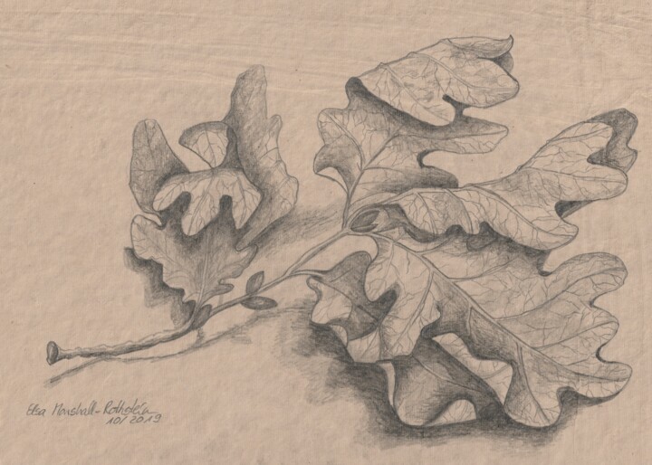 图画,  8.3x11.7 in 