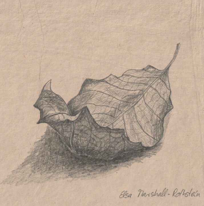 Blatt III 图画, 5.9x8.3 in