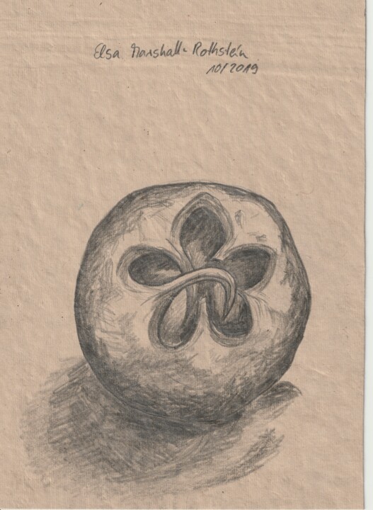 Frucht 图画, 8.3x5.9 in