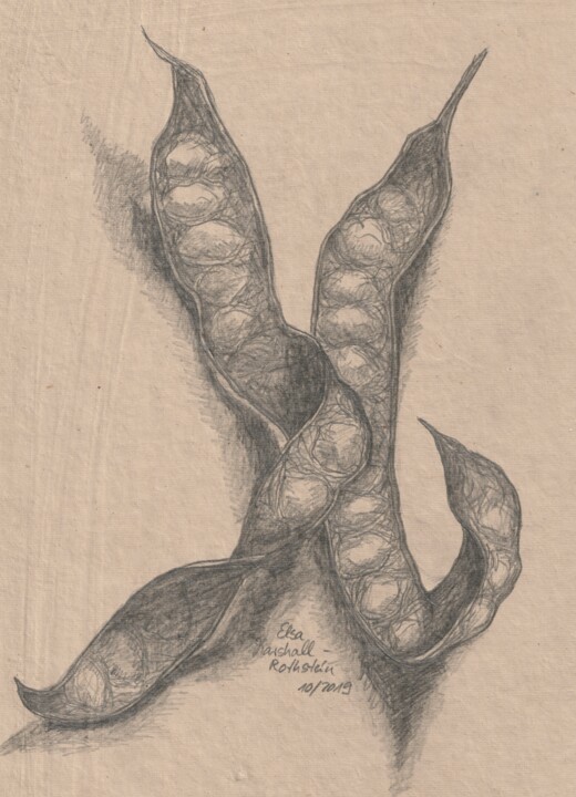 Schoten II 图画, 11.7x8.3 in