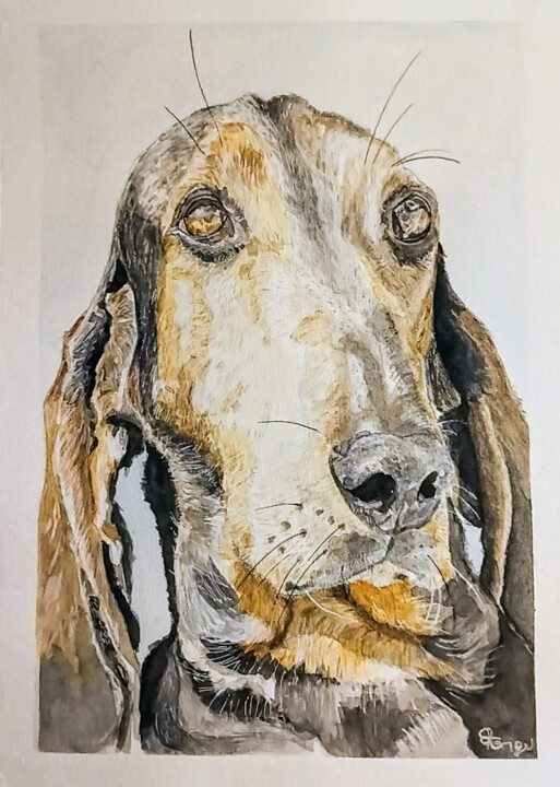 绘画,  11.8x8.3 in 