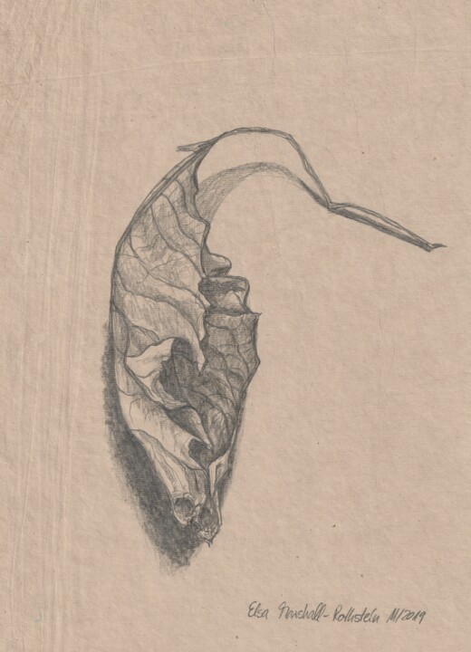 Walnussblatt I Tekening, 11,7x8,3 in