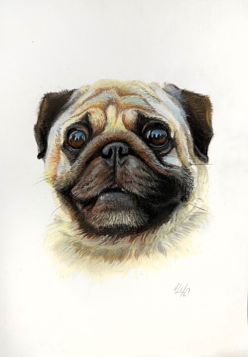 图画,  11x8.3 in 