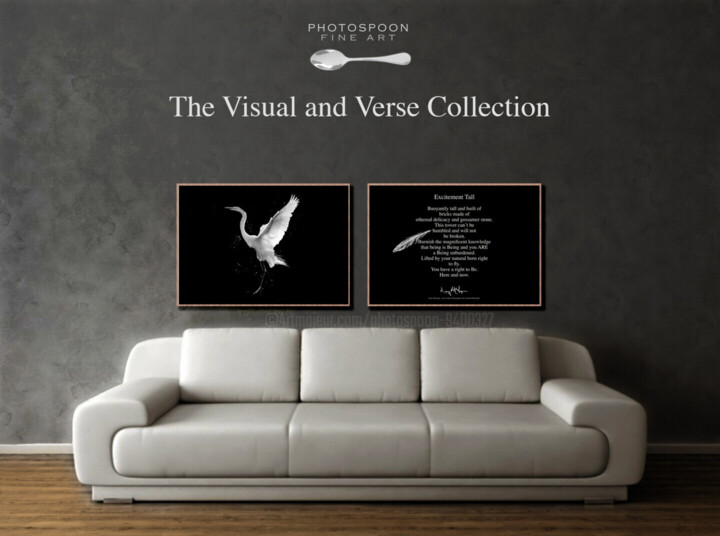 Artwork in situation