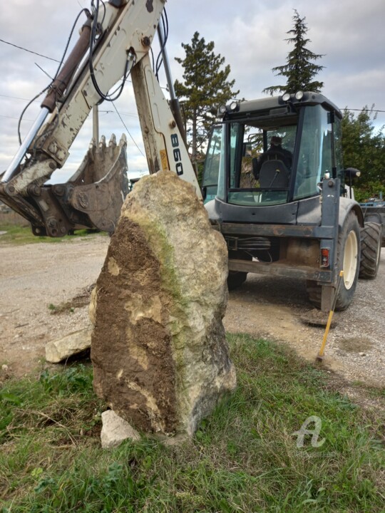 Sculpture en cours voir photos 雕塑, 78.7x39.4 in