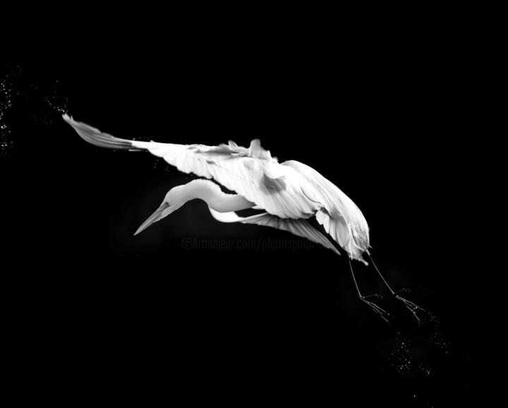 Photography titled "02 Grand pas d’acti…" by Photospoon, Original Artwork, Digital Photography