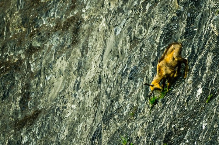 L'acrobate Фотография